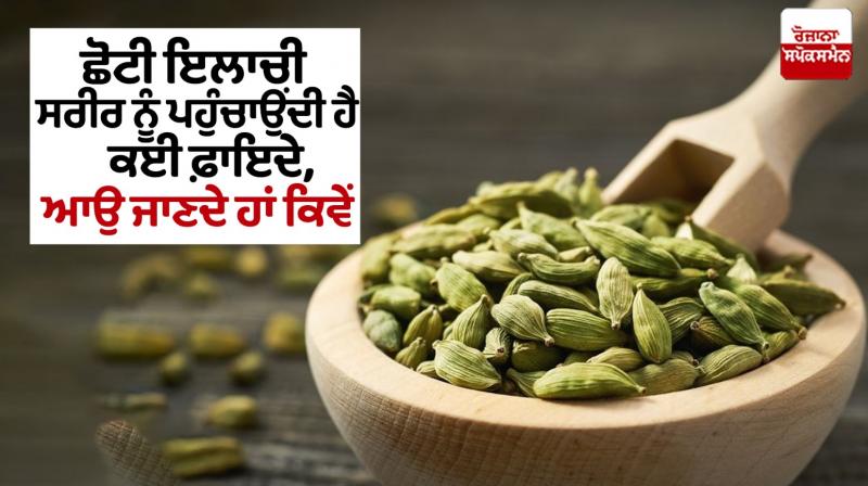 Small cardamom benefits Small cardamom benefits