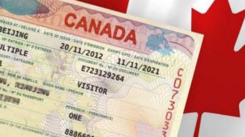 No canada oz visas for traffic violators in ludhiana 