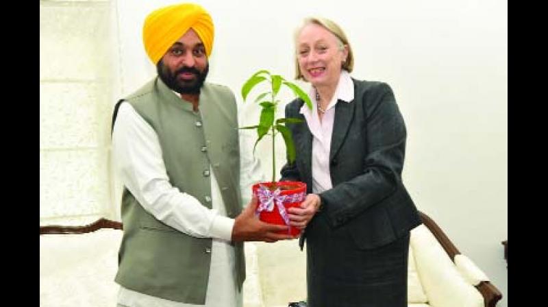 image image
