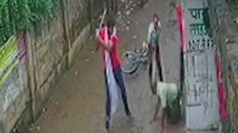Inspector Beaten Inspector Beaten