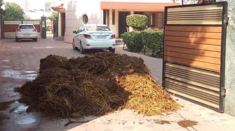 Tikshin sood's home Tikshin sood's home