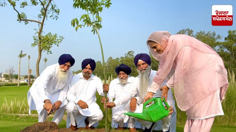 Punjab News: Five-member recruitment committee starts planting saplings under the order Punjab News: Five-member recruitment committee starts planting saplings under the order