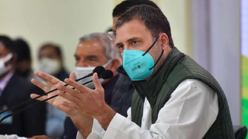 Rahul Gandhi Rahul Gandhi