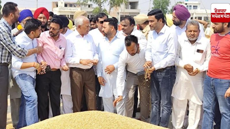 Cabinet Minister Barinder Kumar Goyal has started government procurement of wheat in Moonak and Khanauri grain markets. Cabinet Minister Barinder Kumar Goyal has started government procurement of wheat in Moonak and Khanauri grain markets.