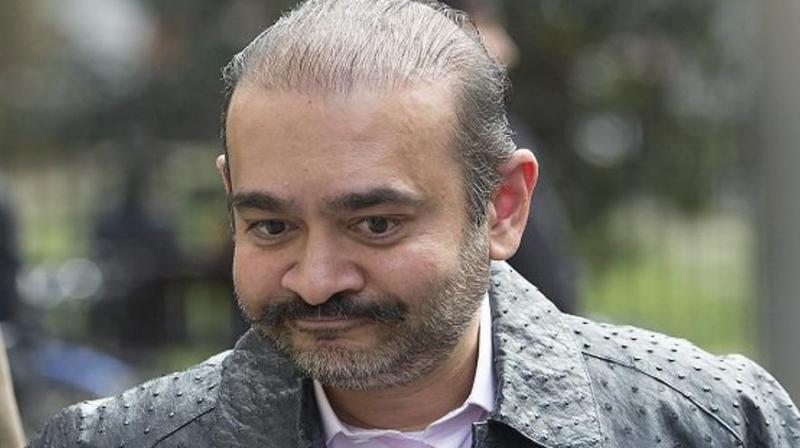 Nirav Modi Nirav Modi