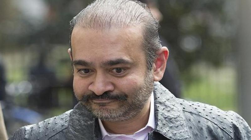 Nirav Modi 