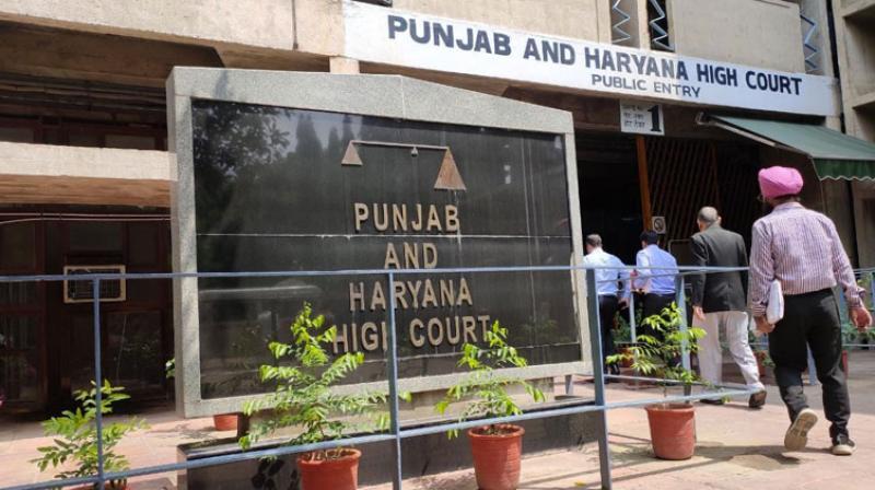 Punjab & Haryana High Court