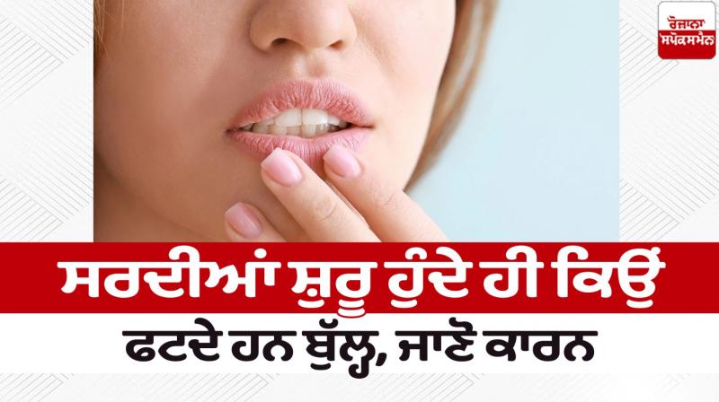 Why do lips crack as soon as winter starts Beauty Tips News in punjabi Why do lips crack as soon as winter starts Beauty Tips News in punjabi