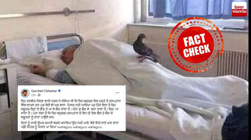 Fake Post Fake Post