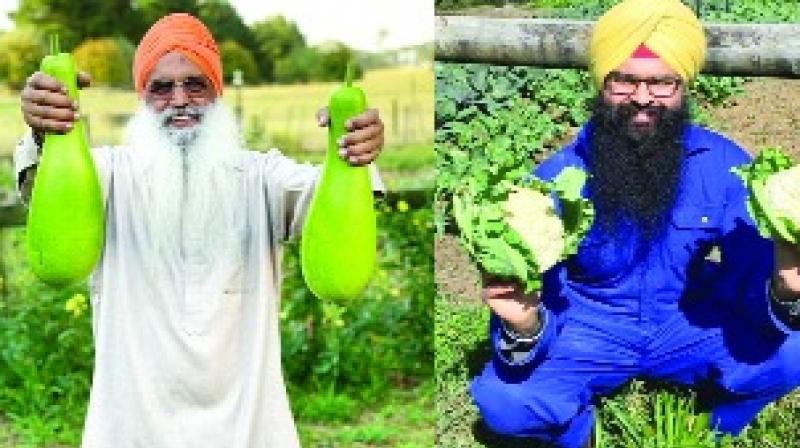 organic Punjabi vegetables organic Punjabi vegetables