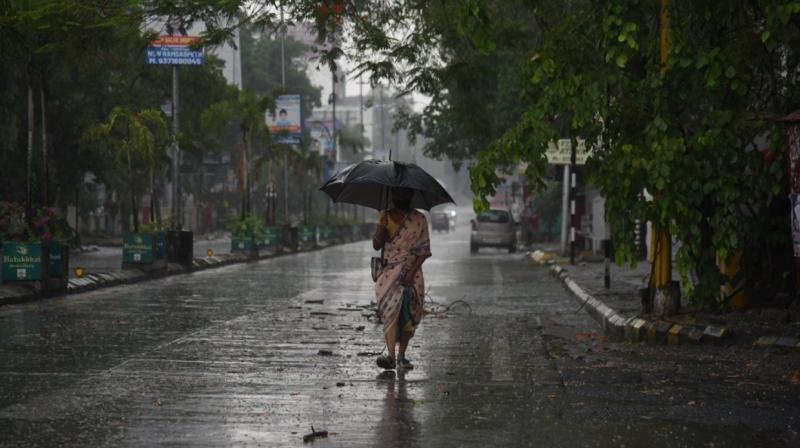 rain fell rain fell