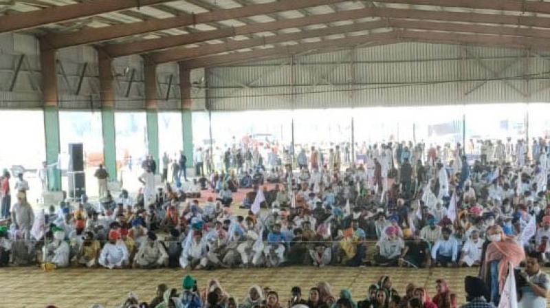 farmer rally farmer rally