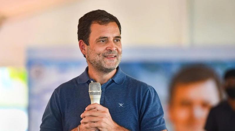 rahul gandhi rahul gandhi