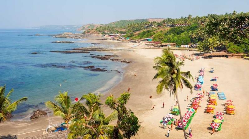 goa goa