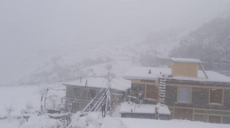SNOWFALL SNOWFALL