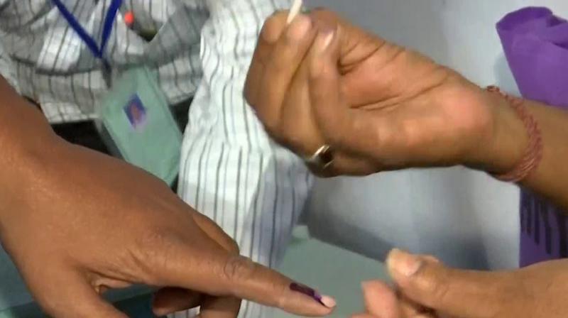 elections elections