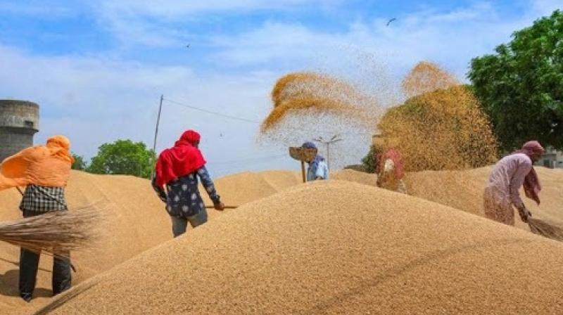 Farmers' protest 