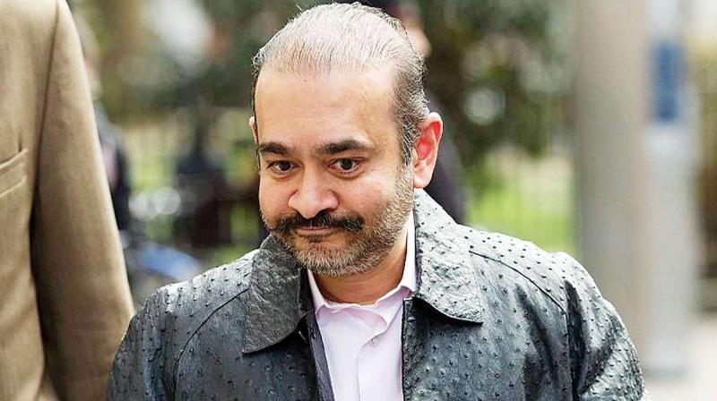 Nirav Modi Nirav Modi