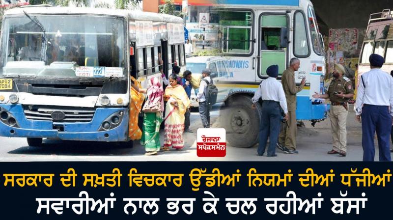 bus bus