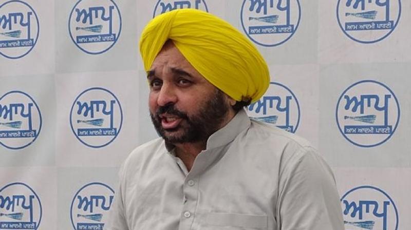 AAP AAP