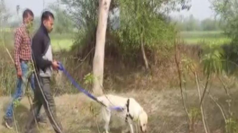 unnao case unnao case