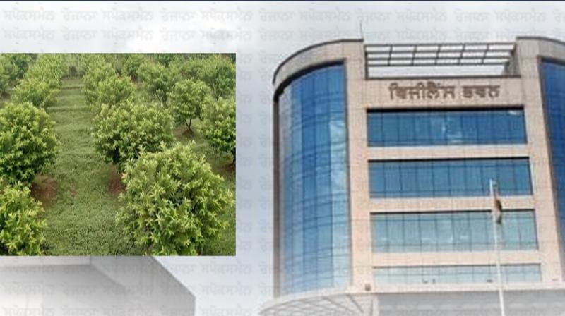 Guava Scam News Guava Scam News