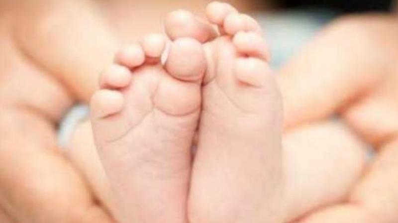 Newborn girls body found in jalandhar