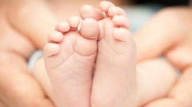 Newborn girls body found in jalandhar Newborn girls body found in jalandhar