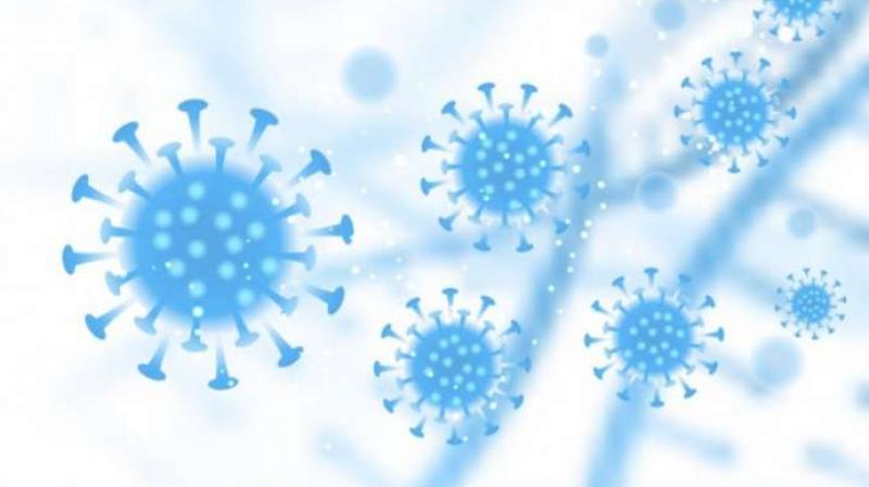 What is delmicron What is delmicron