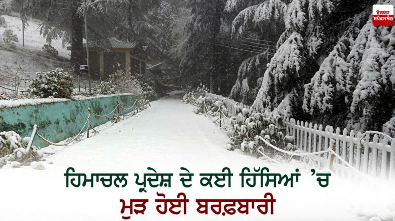 Snowfall again in many parts of Himachal Pradesh Snowfall again in many parts of Himachal Pradesh