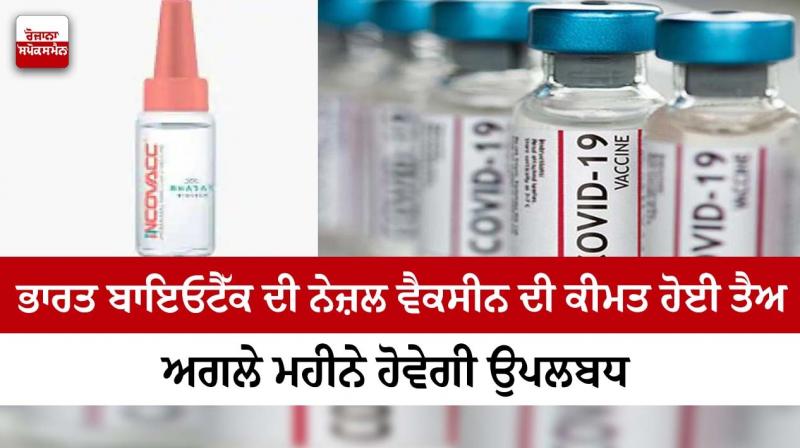 Cost of Bharat Biotech’s nasal vaccine revealed Cost of Bharat Biotech’s nasal vaccine revealed