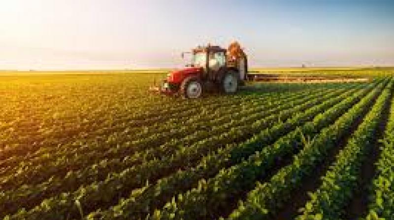 Agriculture Agriculture