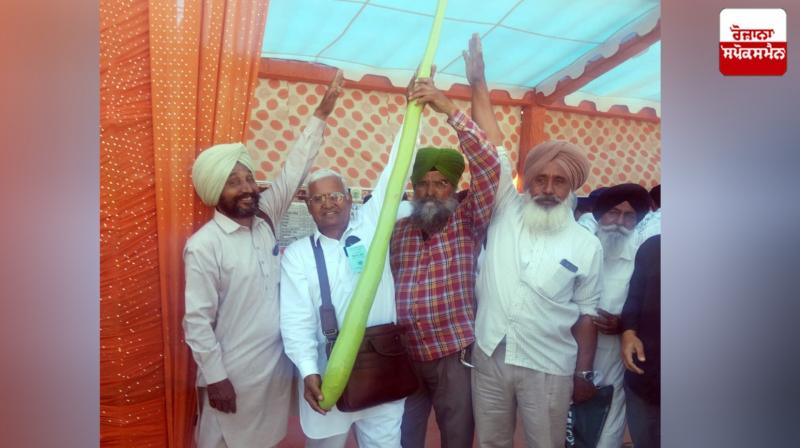 A farmer from Kurukshetra reached the fair with a six-foot gourd. A farmer from Kurukshetra reached the fair with a six-foot gourd.