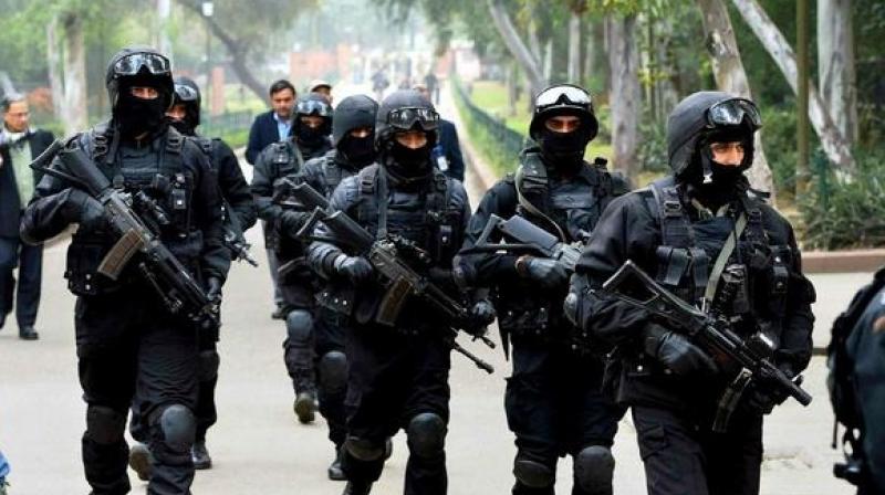 Special plan to protect famous targeted personalities Special plan to protect famous targeted personalities