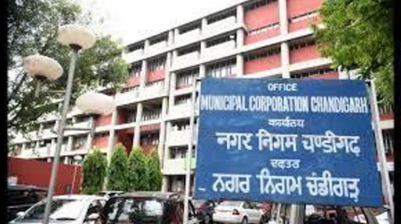 chandigarh coporation chandigarh coporation