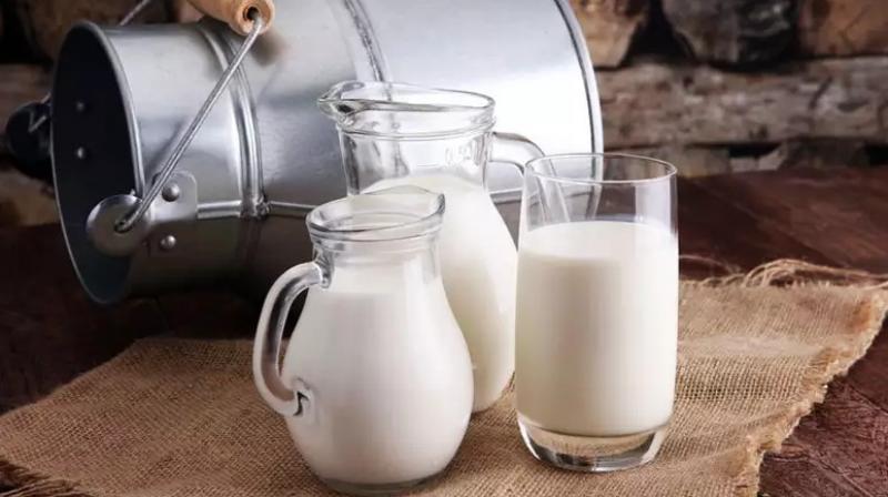 Cow's milk or buffalo's milk, which one is better for your health, read? Cow's milk or buffalo's milk, which one is better for your health, read?