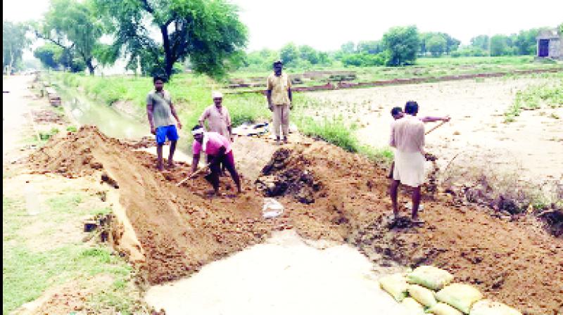 Farmers and Workers Filling Road Farmers and Workers Filling Road