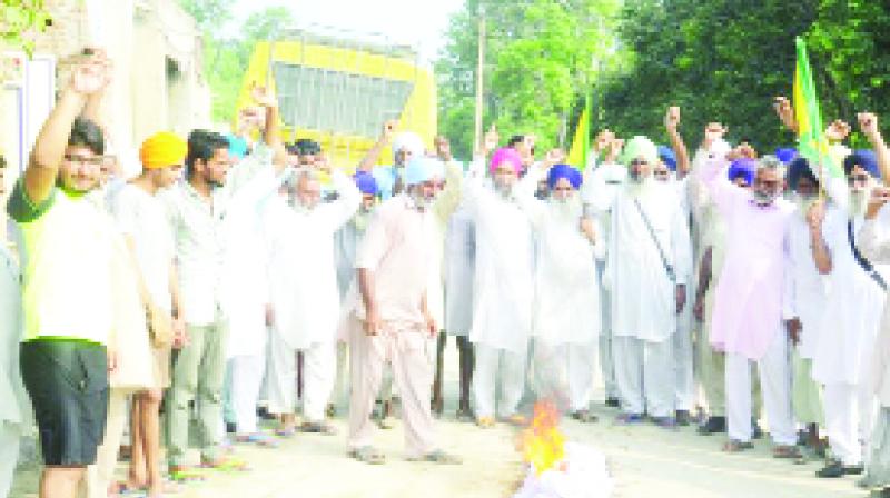 Farmers Protesting