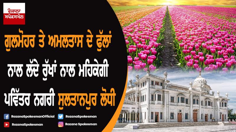 Massive drive for plantation of flower trees and flowers at Sultanpur Lodhi