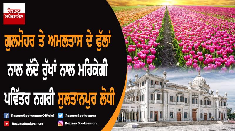 Massive drive for plantation of flower trees and flowers at Sultanpur Lodhi Massive drive for plantation of flower trees and flowers at Sultanpur Lodhi