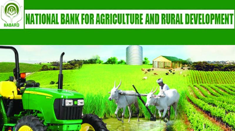 National Agriculture and Rural Development Bank National Agriculture and Rural Development Bank