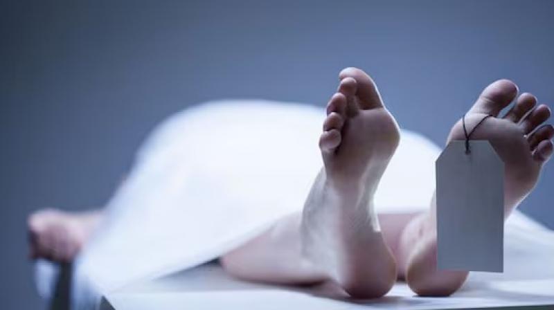 pregnant woman commits suicide mohali News