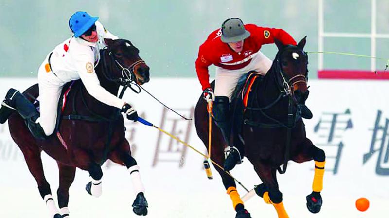 Polo Game Polo Game