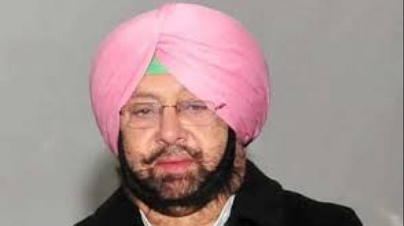 CM Punjab CM Punjab