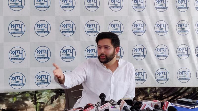 Declaration of free bus travel for women, another false claim of Captain government: Raghav Chadha Declaration of free bus travel for women, another false claim of Captain government: Raghav Chadha