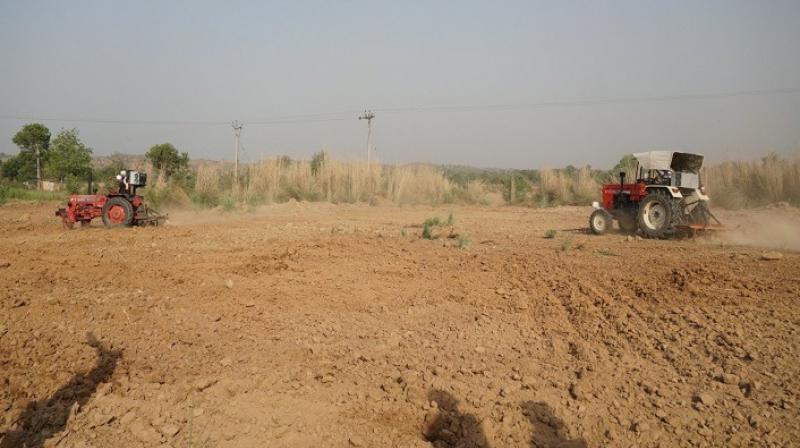 Punjab govt frees encroachment from 29 acres land Punjab govt frees encroachment from 29 acres land