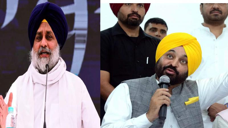 sukhbir badal, CM Bhagwant Mann sukhbir badal, CM Bhagwant Mann