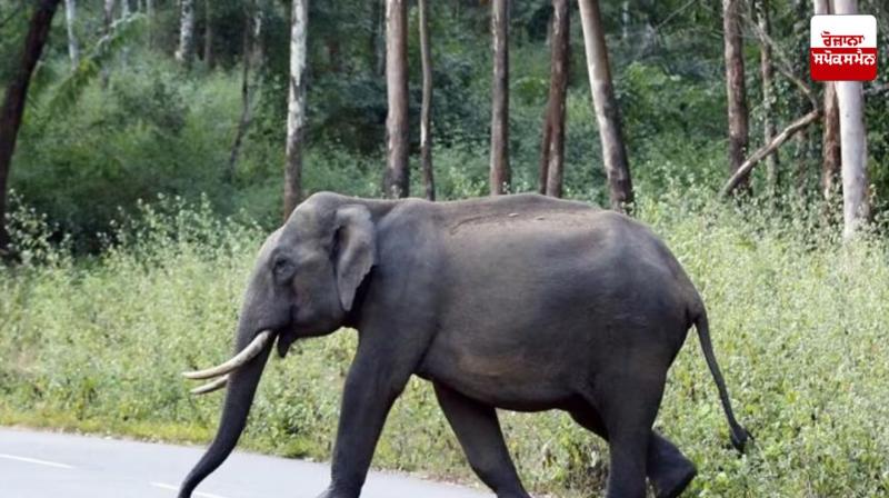 Son's life lost in the pursuit of shortcuts