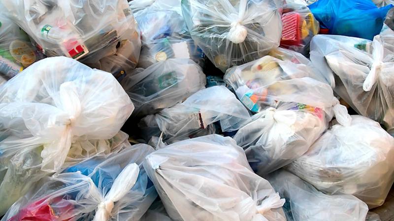 Municipal corporation polythene ban Municipal corporation polythene ban