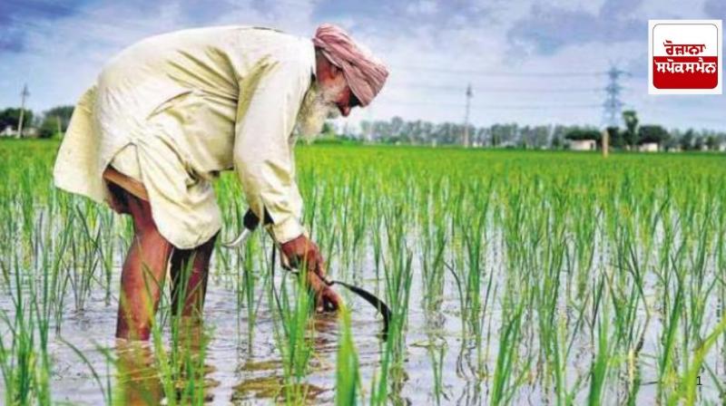 85 lakh farmers left farming from 2001 to 2011, 1.3 lakh of them from Punjab 85 lakh farmers left farming from 2001 to 2011, 1.3 lakh of them from Punjab